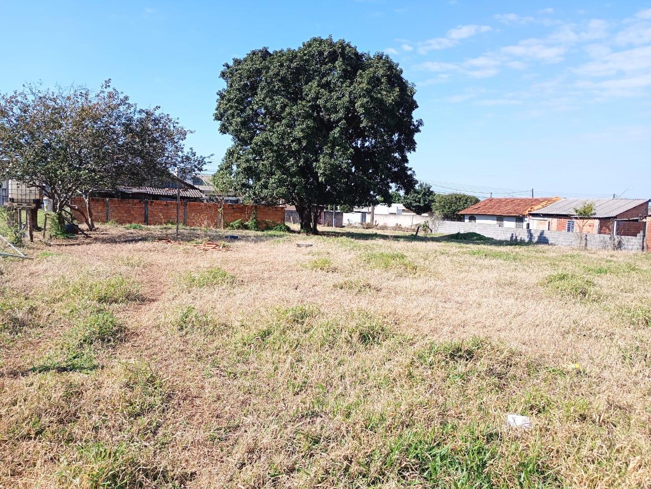 VRL178 Vende chácara em sabaúdia pr